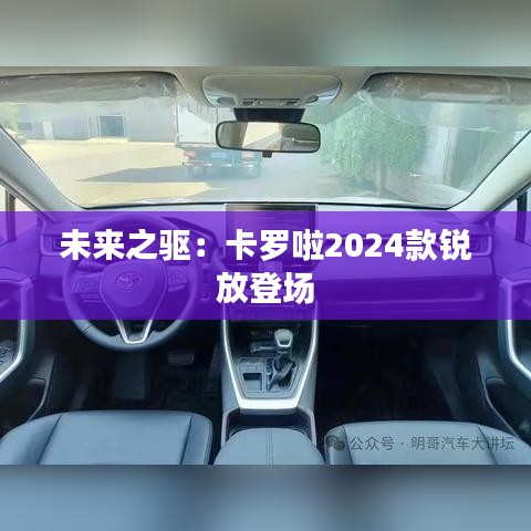 未来之驱：卡罗啦2024款锐放登场