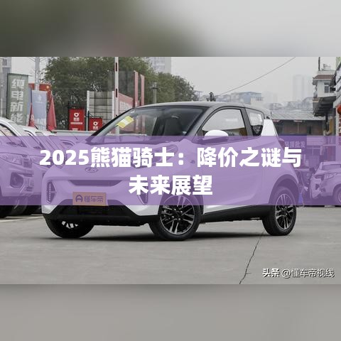 2025熊猫骑士：降价之谜与未来展望