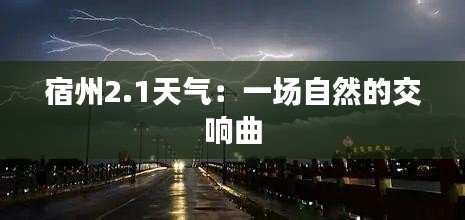 2024年12月2日 第3页