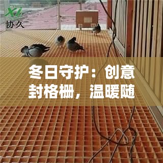 冬日守护：创意封格栅，温暖随行