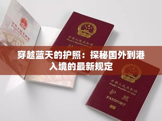 穿越蓝天的护照：探秘国外到港入境的最新规定