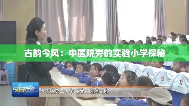 古韵今风：中医院旁的实验小学探秘