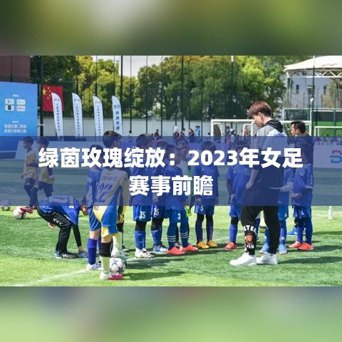 绿茵玫瑰绽放：2023年女足赛事前瞻