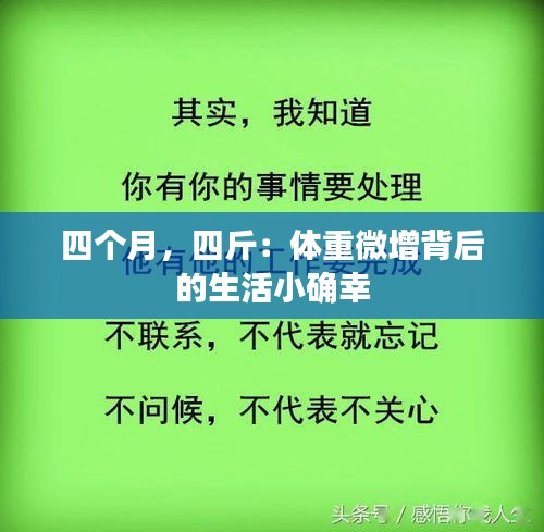 四个月，四斤：体重微增背后的生活小确幸