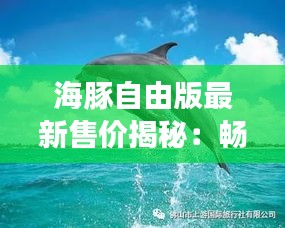 海豚自由版最新售价揭秘：畅游数字海洋的全新体验