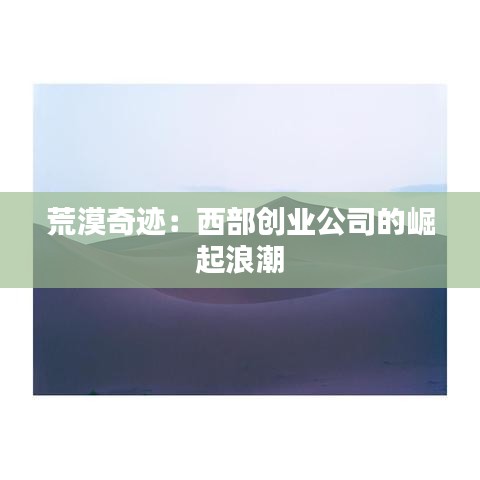 荒漠奇迹：西部创业公司的崛起浪潮