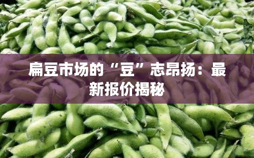 扁豆市场的“豆”志昂扬：最新报价揭秘