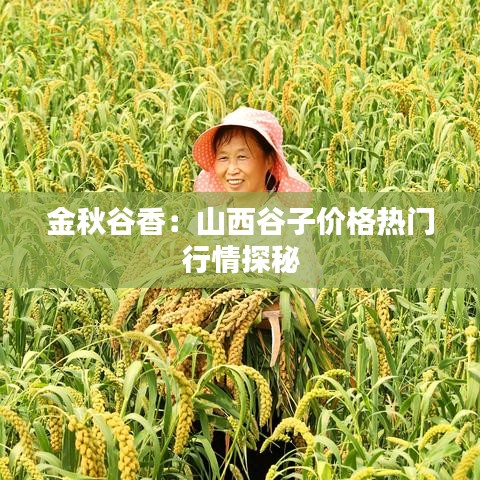 金秋谷香：山西谷子价格热门行情探秘