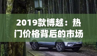 2019款博越：热门价格背后的市场狂潮