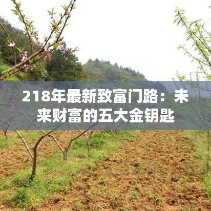 218年最新致富门路：未来财富的五大金钥匙