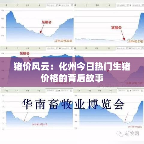 猪价风云：化州今日热门生猪价格的背后故事