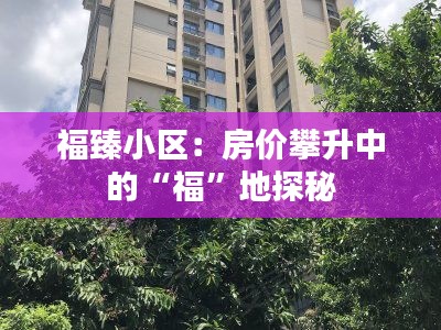 福臻小区：房价攀升中的“福”地探秘