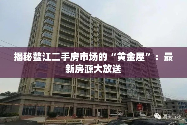 揭秘鳌江二手房市场的“黄金屋”：最新房源大放送