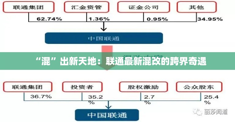 “混”出新天地：联通最新混改的跨界奇遇