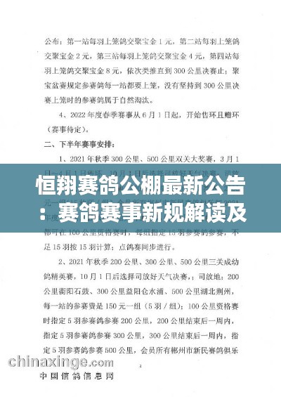 恒翔赛鸽公棚最新公告：赛鸽赛事新规解读及参赛指南