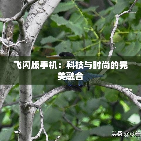 飞闪版手机：科技与时尚的完美融合