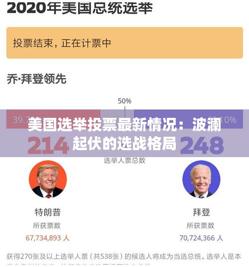 美国选举投票最新情况：波澜起伏的选战格局