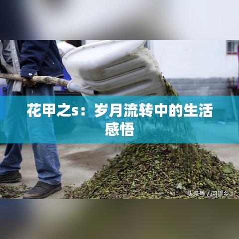 花甲之s：岁月流转中的生活感悟