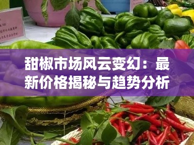 甜椒市场风云变幻：最新价格揭秘与趋势分析