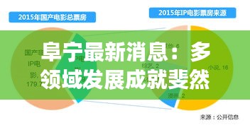 阜宁最新消息：多领域发展成就斐然，未来可期