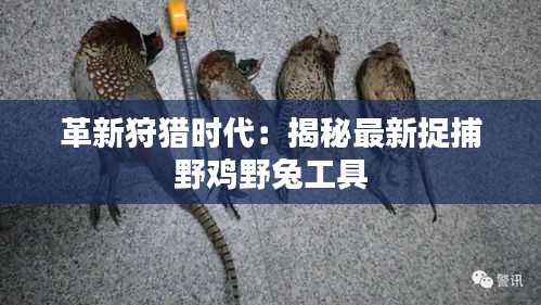 革新狩猎时代：揭秘最新捉捕野鸡野兔工具