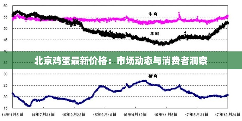 北京鸡蛋最新价格：市场动态与消费者洞察