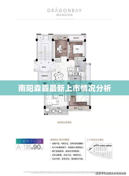 南阳森霸最新上市情况分析