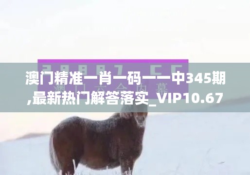 澳门精准一肖一码一一中345期,最新热门解答落实_VIP10.676