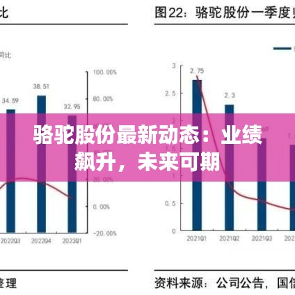 骆驼股份最新动态：业绩飙升，未来可期