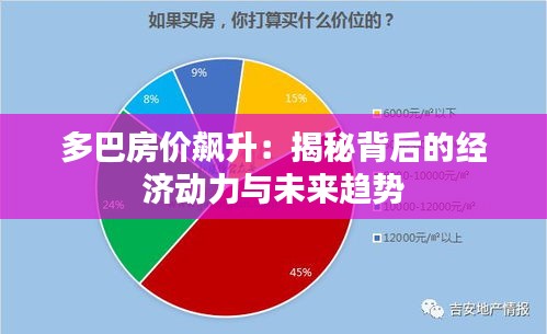 多巴房价飙升：揭秘背后的经济动力与未来趋势