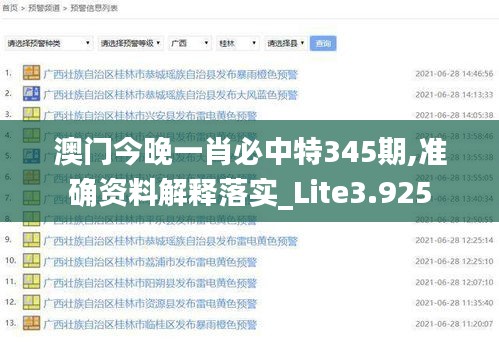 澳门今晚一肖必中特345期,准确资料解释落实_Lite3.925