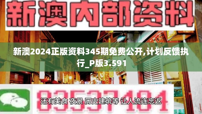 新澳2024正版资料345期免费公开,计划反馈执行_P版3.591