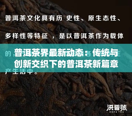 普洱茶界最新动态：传统与创新交织下的普洱茶新篇章