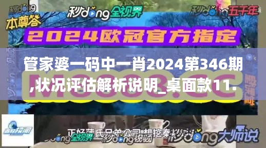 管家婆一码中一肖2024第346期,状况评估解析说明_桌面款11.525