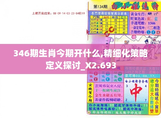 346期生肖今期开什么,精细化策略定义探讨_X2.693