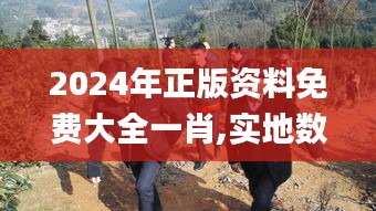 2024年正版资料免费大全一肖,实地数据验证执行_桌面款6.356