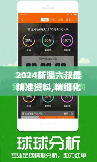 2024新澳六叔最精准资料,精细化评估解析_网页版12.745