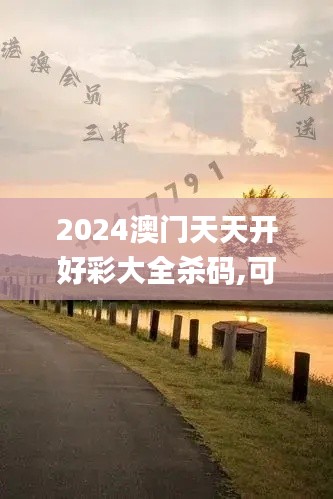 2024澳门天天开好彩大全杀码,可靠解析评估_户外版11.928