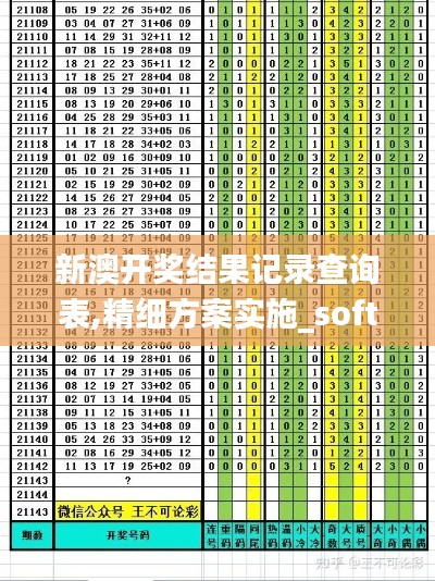 新澳开奖结果记录查询表,精细方案实施_soft7.468