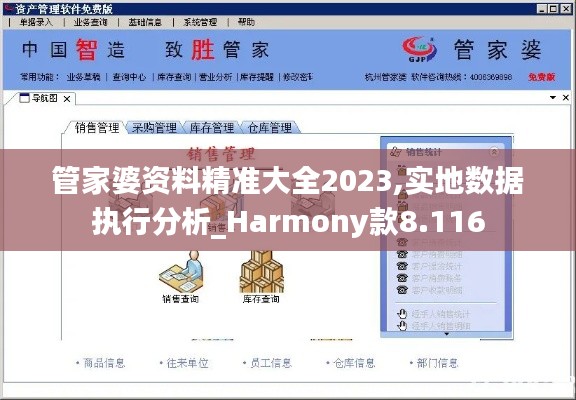 管家婆资料精准大全2023,实地数据执行分析_Harmony款8.116