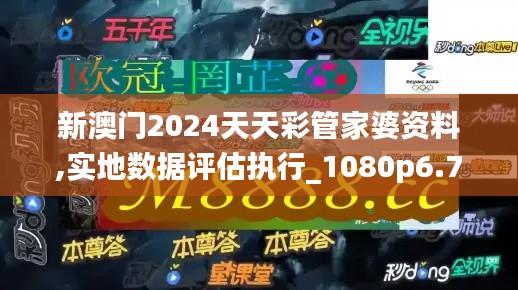 新澳门2024天天彩管家婆资料,实地数据评估执行_1080p6.760