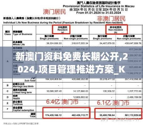 新澳门资料免费长期公开,2024,项目管理推进方案_KP10.388