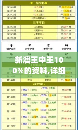 新澳王中王100%的资料,详细解读定义方案_X版2.582