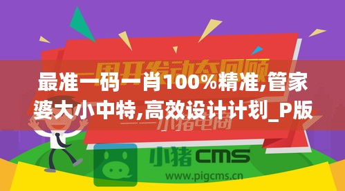 最准一码一肖100%精准,管家婆大小中特,高效设计计划_P版8.903