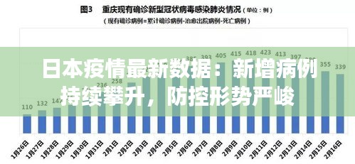 2024年12月12日 第64页