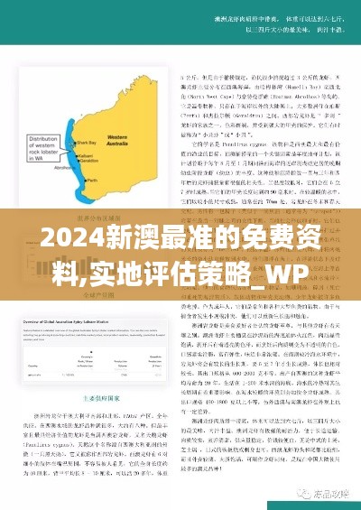 2024新澳最准的免费资料,实地评估策略_WP版1.345