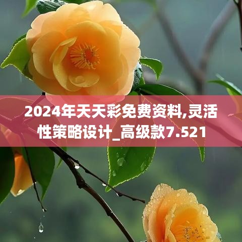 2024年天天彩免费资料,灵活性策略设计_高级款7.521