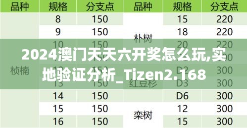 2024澳门天天六开奖怎么玩,实地验证分析_Tizen2.168