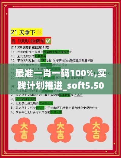 最准一肖一码100%,实践计划推进_soft5.505