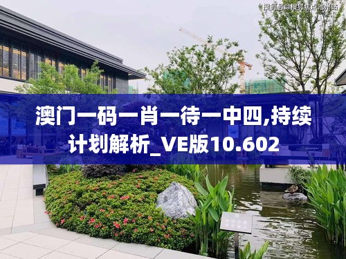 澳门一码一肖一待一中四,持续计划解析_VE版10.602